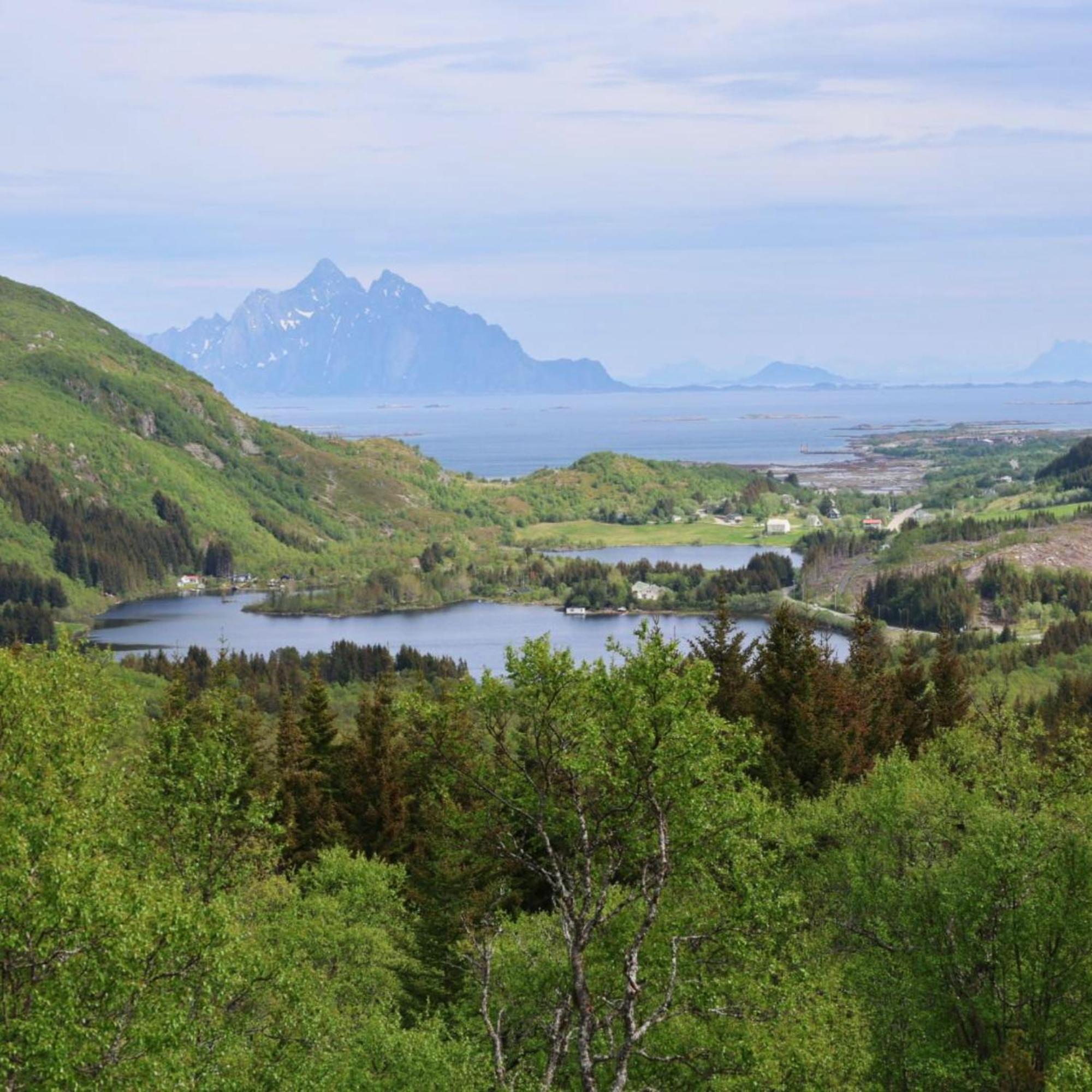 Hagstua Villa Leknes Bagian luar foto